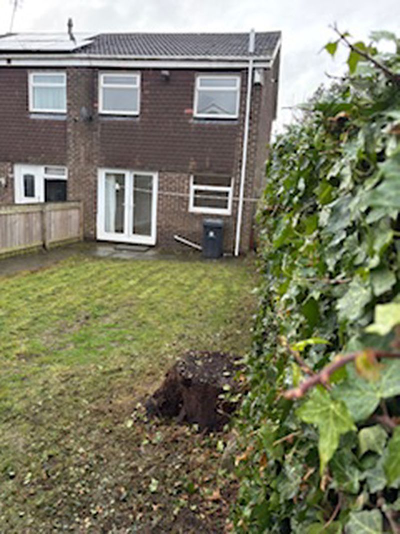 Bamborough Court Dudley